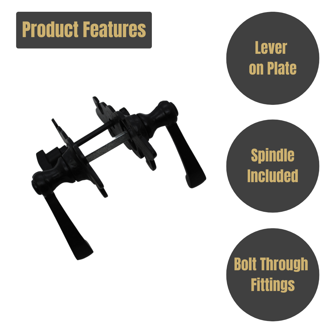 Fleur de Lys Lever Bathroom on Black Antique for Internal Doors