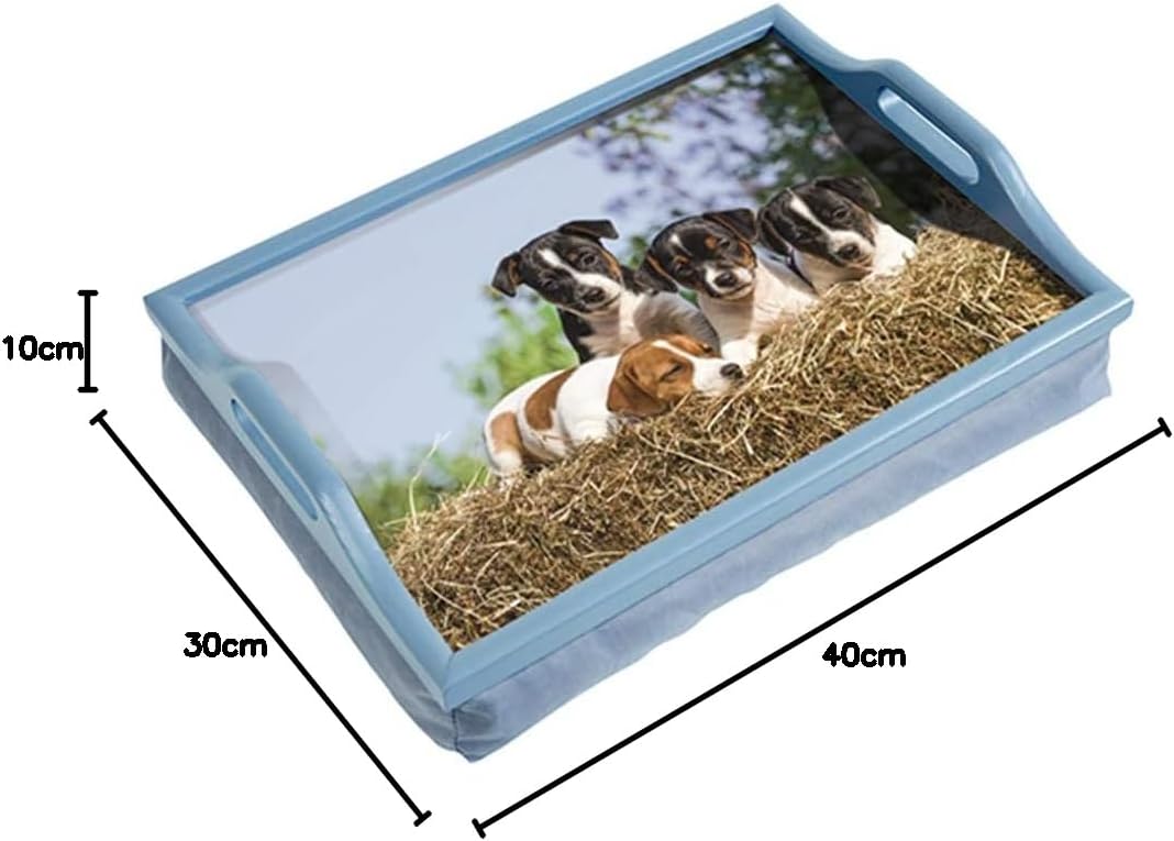 Wooden Lap Tray with Cushion
