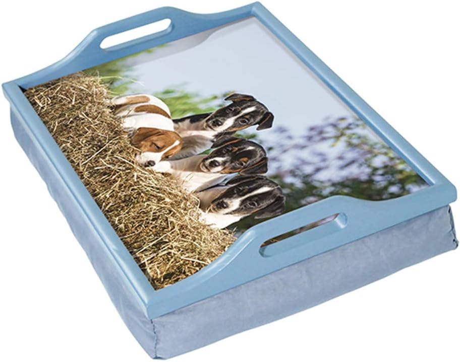 Wooden Lap Tray with Cushion