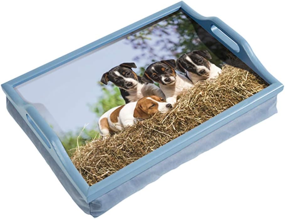 Wooden Lap Tray with Cushion