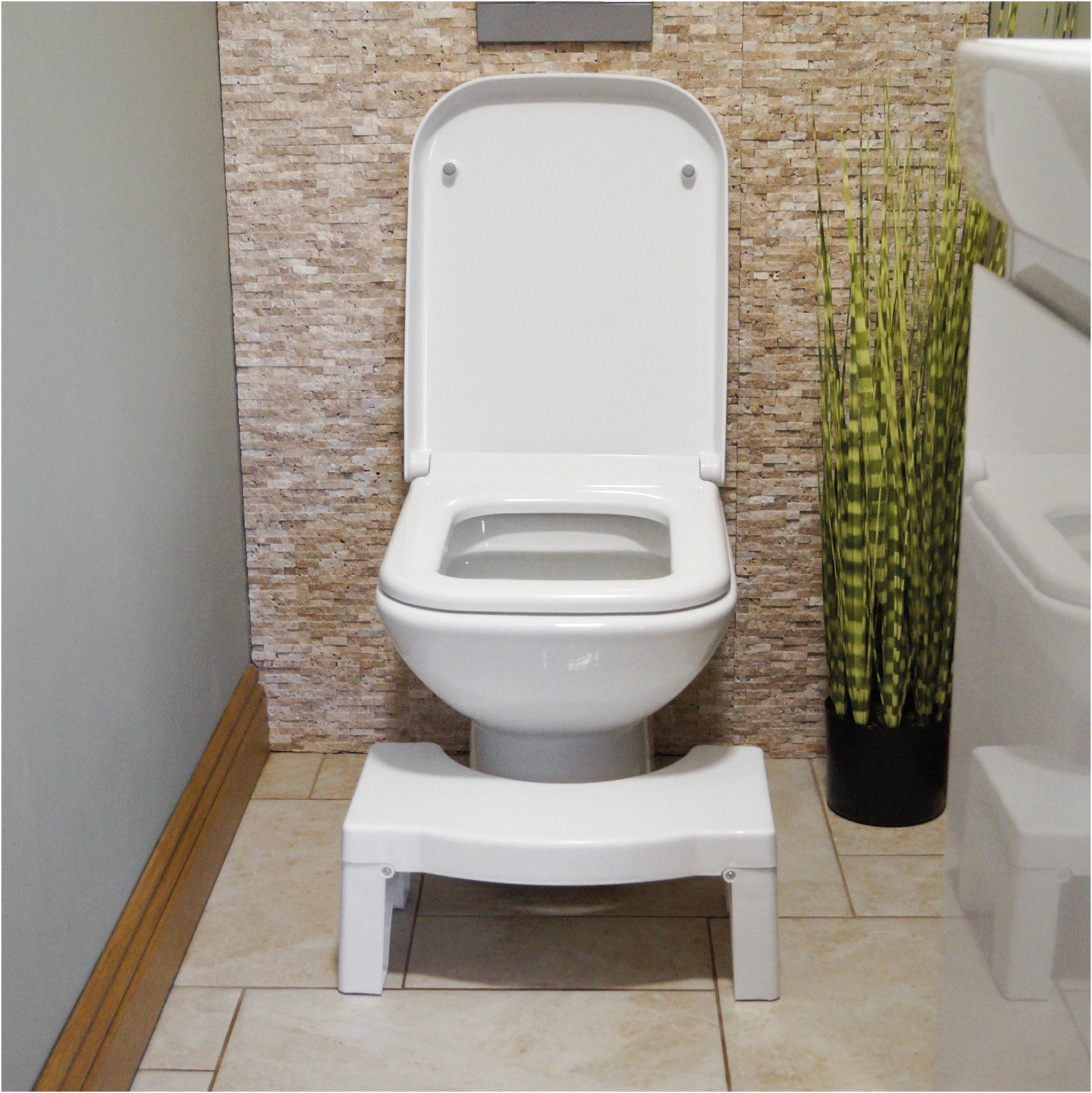 Folding Toilet Squat Stool - VB540C